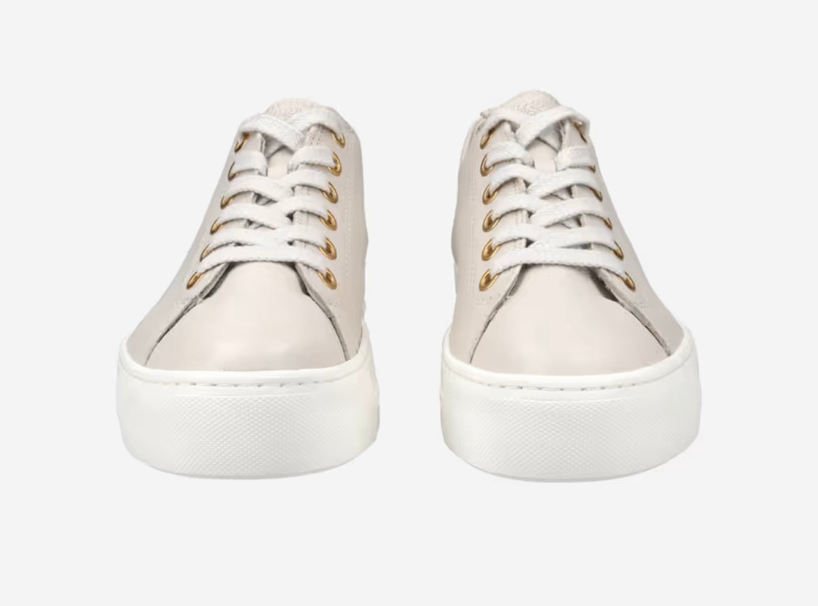 Paul green biscuit leather and gold glitter sneaker