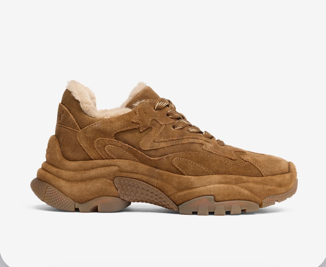 ASH Addict Fur Chestnut sneakers