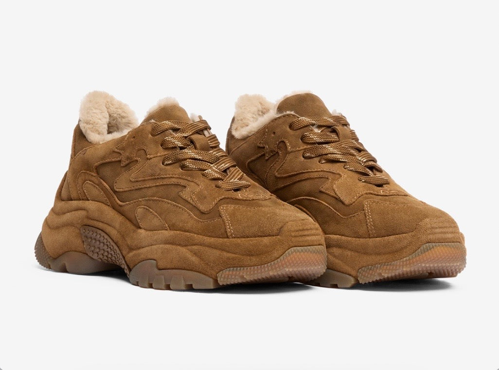 ASH Addict Fur Chestnut sneakers