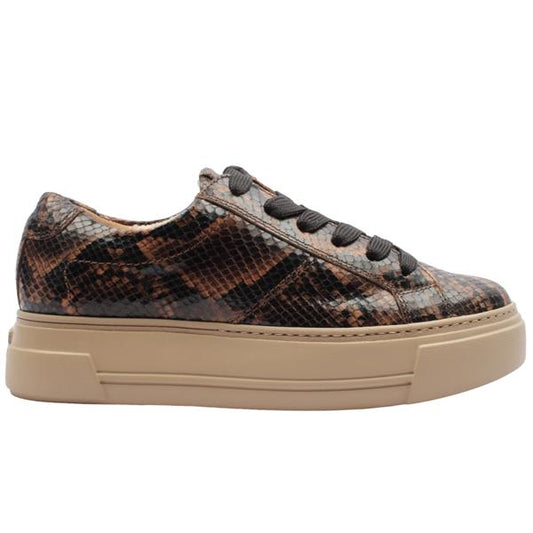 Paul Green leather snake skin effect platform sneakers