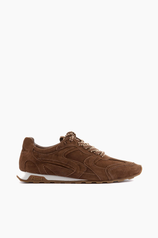 ASH brown suede sneakers